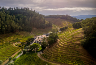 Pine Ridge Vineyards